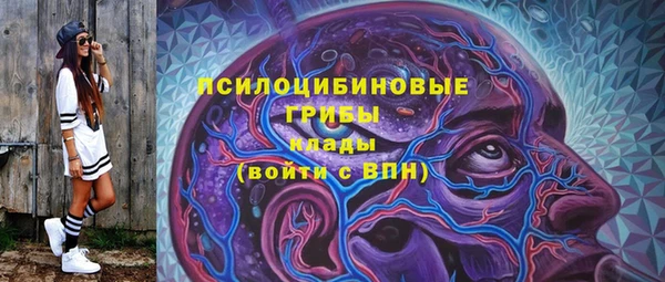 МДПВ Арсеньев