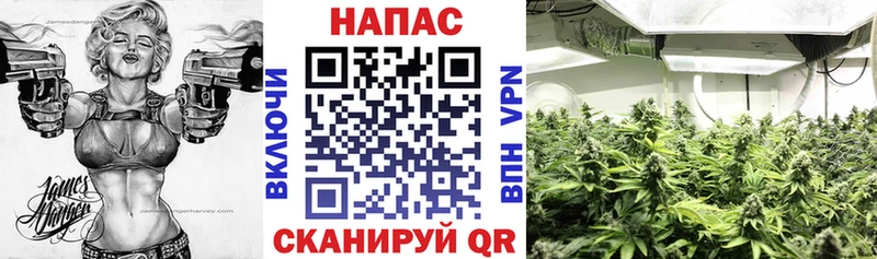 KRAKEN как зайти Усть-Лабинск МАРИХУАНА ГИДРОПОН закладка